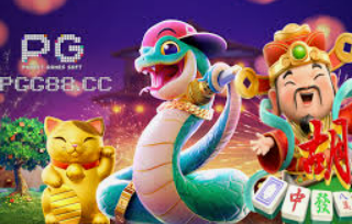 595cc开元官网版电脑免费版