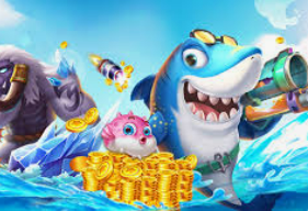 595cc开元官网版正式版