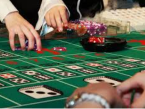 595cc开元官网版免费版